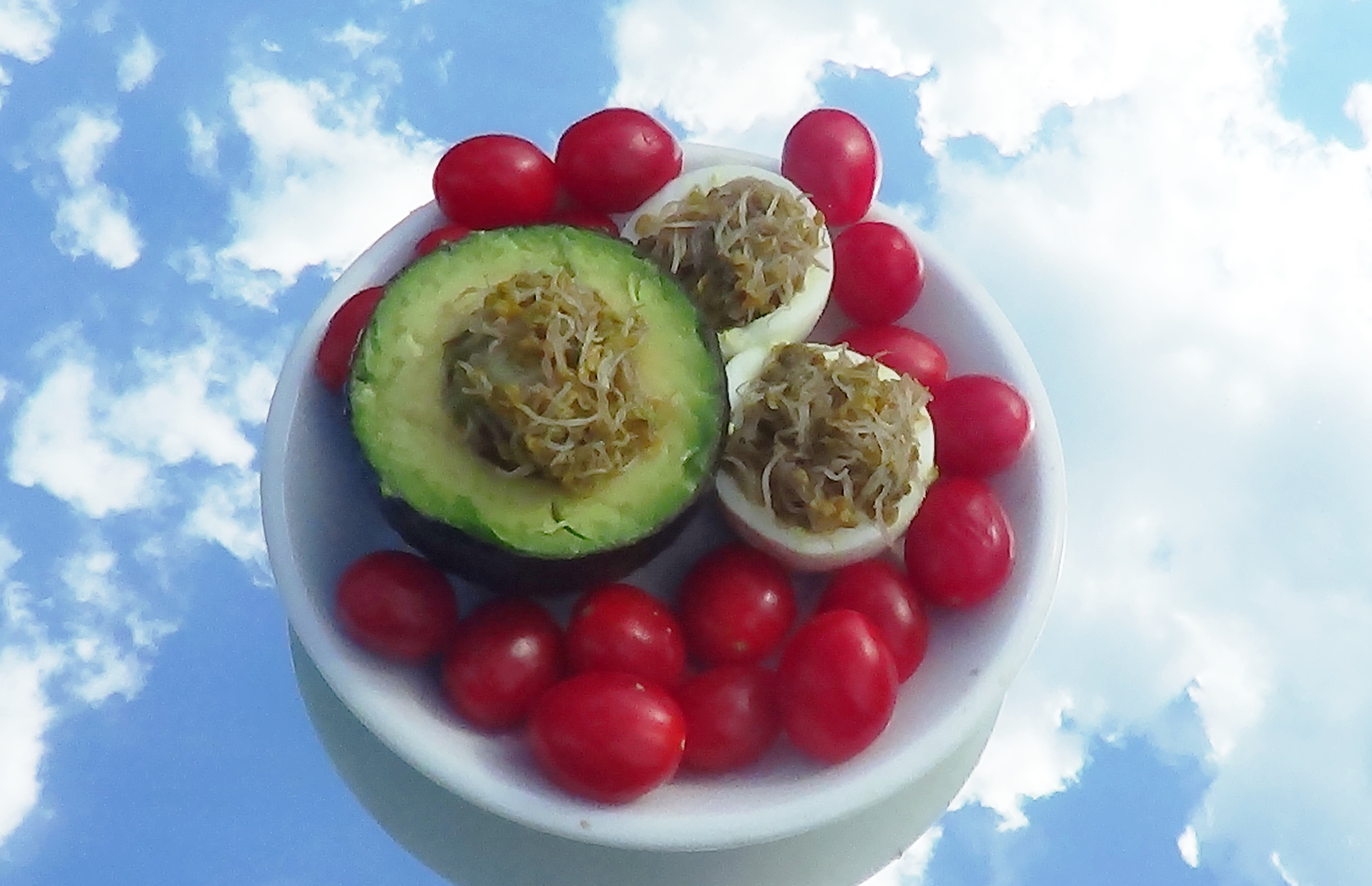 Fruit With Our Nutritional Products in Clarkston, MI